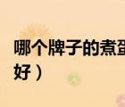哪个牌子的煮蛋器比较好（什么牌子的煮蛋器好）