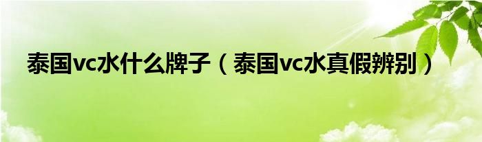 泰国vc水什么牌子（泰国vc水真假辨别）-66绿色资源网-第3张图片