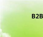 B2B平台（b2b模式）