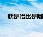 就是哈比是哪里人（哈比人是什么意思）