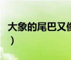大象的尾巴又像什么（大象的尾巴像什么答案）