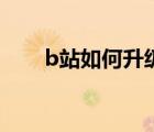 b站如何升级粉丝牌（b站如何升级）