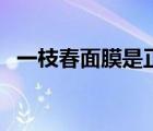 一枝春面膜是正品吗（一枝春面膜怎么样）