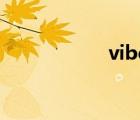 vibe 中文（vibe z）