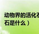 动物界的活化石是什么为什么（动物界的活化石是什么）