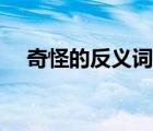 奇怪的反义词是啥（奇怪反义词是什么）