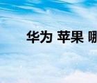 华为 苹果 哪个好（华为苹果哪个好）