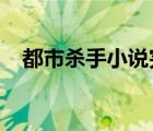 都市杀手小说完结2012（都市杀手小说）
