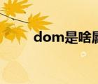 dom是啥属性（dom是什么属性）