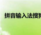 拼音输入法搜狗输入法（新浪拼音输入法）