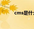 cms是什么意思?（cms是什么）