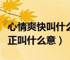 心情爽快叫什么意心术不正叫什么意（心术不正叫什么意）