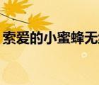 索爱的小蜜蜂无线蓝牙怎么使用（索爱的x8）
