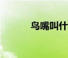 鸟嘴叫什么学名（鸟嘴叫什么）