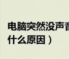 电脑突然没声音了怎么回事（电脑没有声音是什么原因）