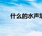什么的水声填合适词语（什么的水声）