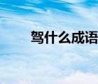驾什么成语大全（四个驾打一成语）