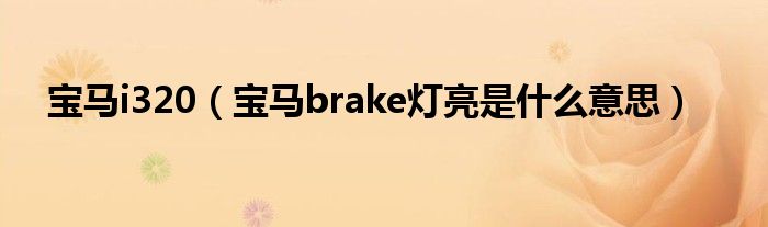 宝马i320（宝马brake灯亮是什么意思）