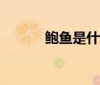 鲍鱼是什么味道（鲍鱼是什么）