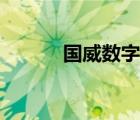 国威数字交换机（数字交换机）