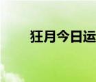 狂月今日运势查询（狂月今日运势）