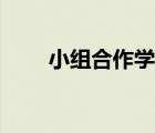 小组合作学习论文（小组合作学习）