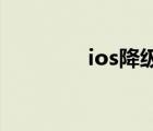 ios降级13.3.1（ios 降级）