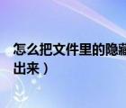 怎么把文件里的隐藏文件显示出来（怎么把隐藏的文件显示出来）