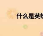 什么是英雄双韵体（英雄双韵体）
