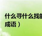 什么寻什么找的成语有哪些（什么寻什么找的成语）
