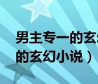 男主专一的玄幻小说,女主戏份多（男主专一的玄幻小说）