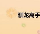 驯龙高手三简介（驯龙高手三）
