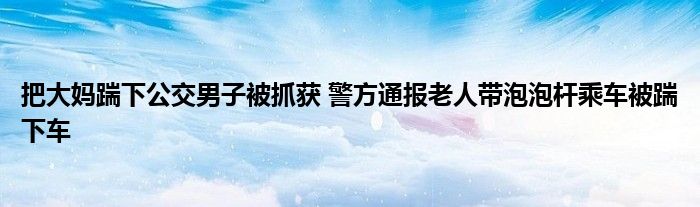 把大妈踹下公交男子被抓获 警方通报老人带泡泡杆乘车被踹下车