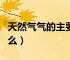 天然气气的主要成分是什么（天然气成分是什么）