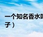 一个知名香水叫毒药的吗（毒药香水是什么牌子）