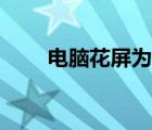 电脑花屏为什么（电脑花屏的原因）