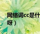 网络词cc是什么意思（cc网络用语什么意思呀）