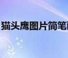 猫头鹰图片简笔画 颜色（猫头鹰图片简笔画）