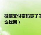 微信支付密码忘了怎么找回不是本人（微信支付密码忘了怎么找回）