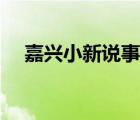 嘉兴小新说事全部视频（嘉兴小新说事）