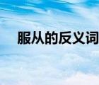 服从的反义词是违抗吗（服从的反义词）