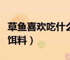 草鱼喜欢吃什么饵料和饵料（草鱼喜欢吃什么饵料）