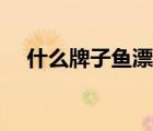 什么牌子鱼漂比较好（鱼漂什么牌子好）