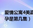 爱情公寓4美嘉怀孕第几集（爱情公寓美嘉怀孕是第几集）