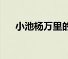 小池杨万里的诗句意思（小池 杨万里）