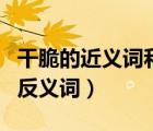 干脆的近义词和反义词是啥（干脆的近义词和反义词）