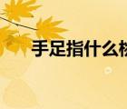 手足指什么桃李指什么（手足指什么）
