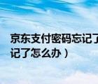 京东支付密码忘记了怎么办手机号也没了（京东支付密码忘记了怎么办）