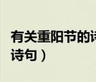 有关重阳节的诗句古诗三年级（有关重阳节的诗句）