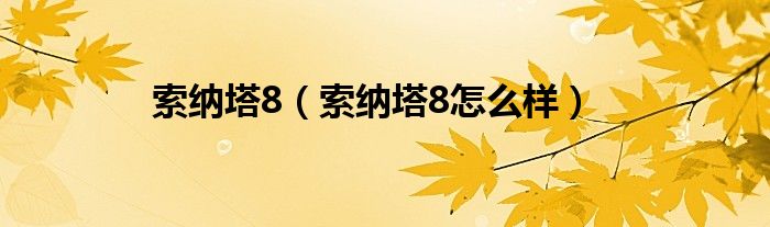 索纳塔8（索纳塔8怎么样）